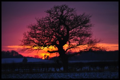 Simon Lees Countryside Training Partnership